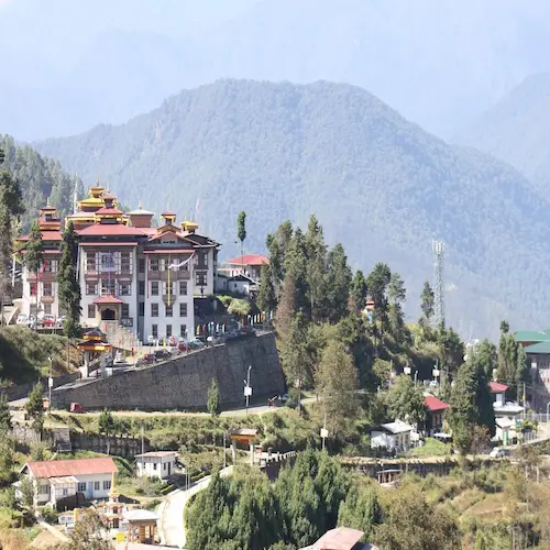 Bhutan Birdwatching